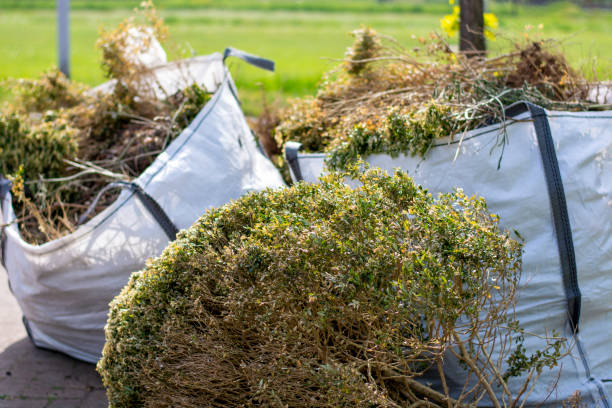 Best Electronics and E-Waste Disposal  in Tipton, IA
